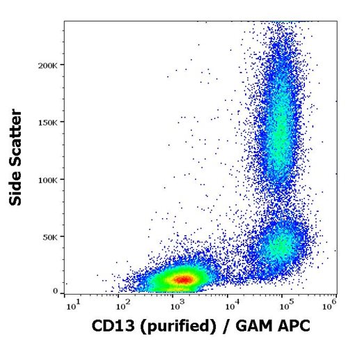 Anti-Hu CD13 Purified