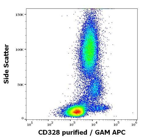 Anti-Hu CD328 Purified