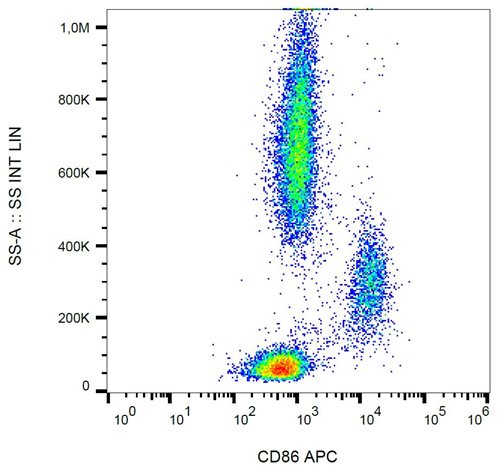 Anti-Hu CD86 APC