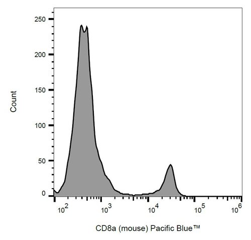 Anti-Ms CD8a Pacific Blue™