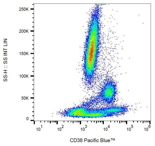 Anti-Hu CD38 Pacific Blue™