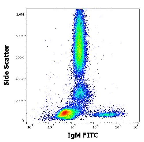 Anti-Hu IgM FITC