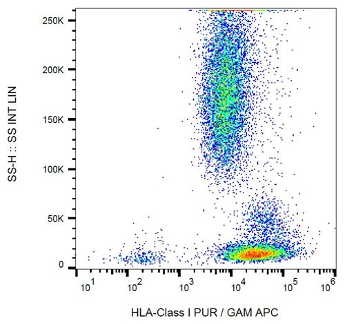 Anti-HLA Class I Purified