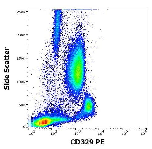 Anti-Hu CD329 PE