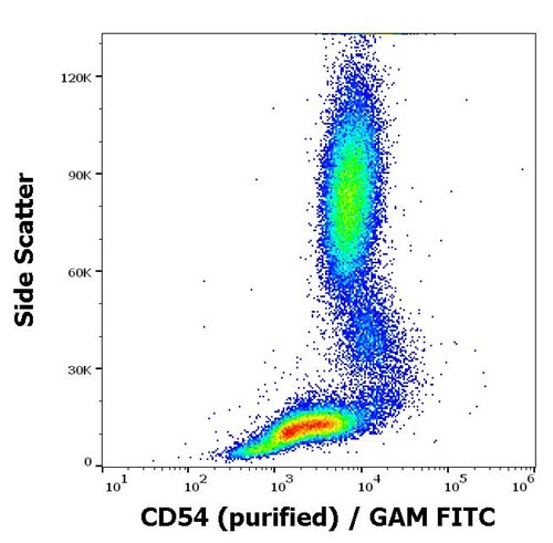 Anti-Hu CD54 Purified Azide Free