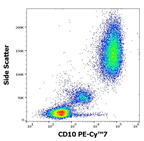 Anti-Hu CD10 PE-Cy™7