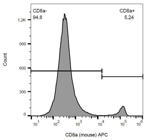 Anti-Ms CD8a APC