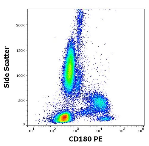 Anti-Hu CD180 PE