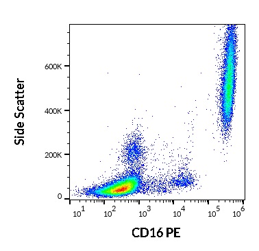 Anti-Hu CD16 PE