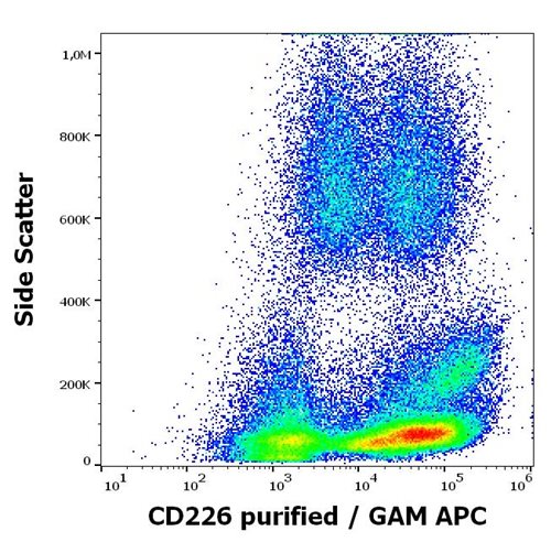 Anti-Hu CD226 Purified