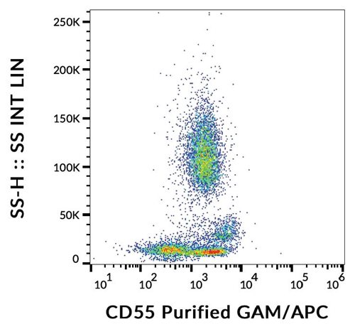 Anti-Hu CD55 Purified