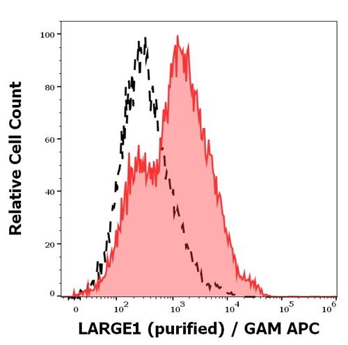 Anti-LARGE1 Purified