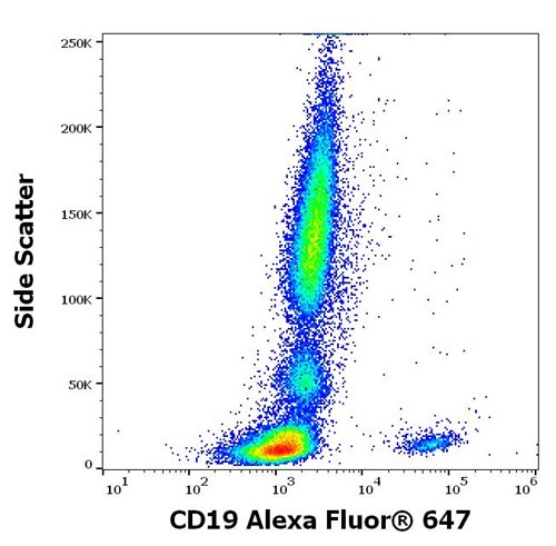 Anti-Hu CD19 Alexa Fluor<sup>®</sup> 647