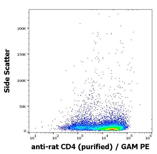 Anti-Rt CD4 Purified