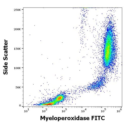 Anti-Hu Myeloperoxidase FITC