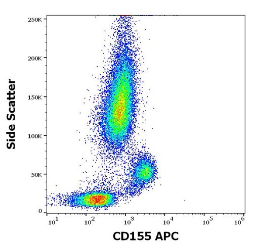 Anti-Hu CD155 APC