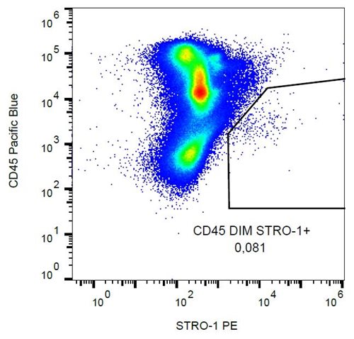 Anti-Hu STRO-1 PE