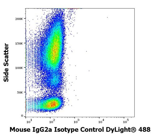 Mouse IgG2a Isotype Control DyLight™ 488