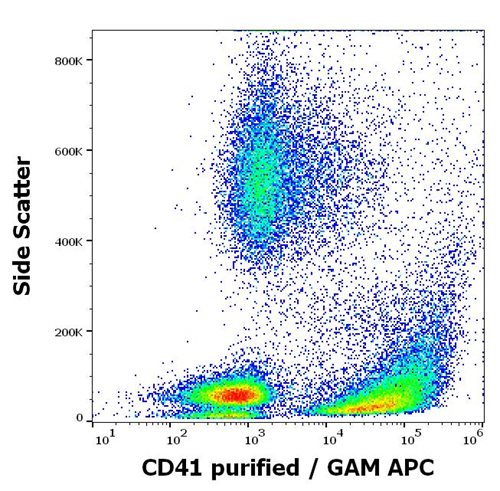 Anti-Hu CD41 Purified