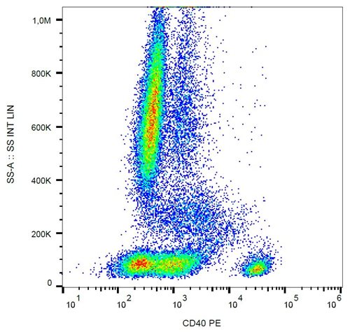 Anti-Hu CD40 PE