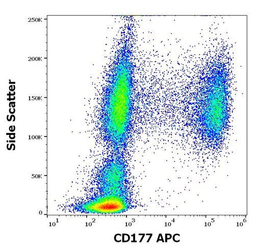 Anti-Hu CD177 APC