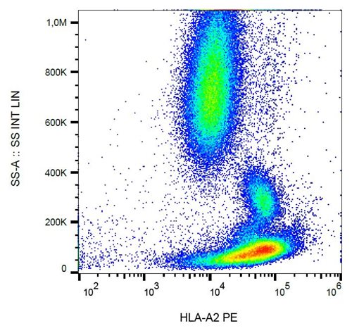 Anti-HLA-A2 PE