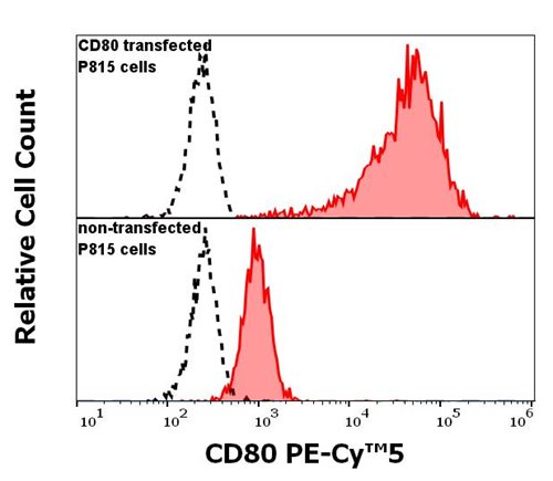 Anti-Hu CD80 PE-Cy™5