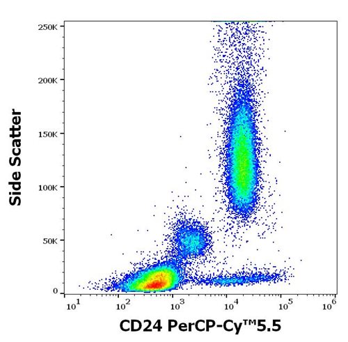 Anti-Hu CD24 PerCP-Cy™5.5