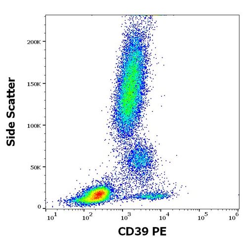 Anti-Hu CD39 PE