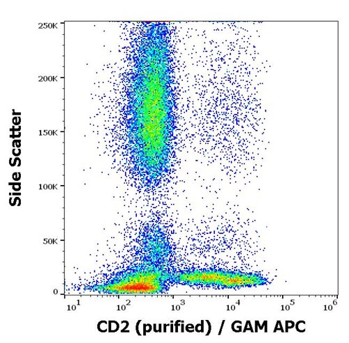 Anti-Hu CD2 Purified