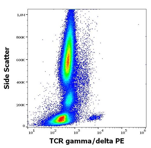 Anti-Hu TCR gamma/delta PE