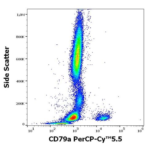 Anti-Hu CD79a PerCP-Cy™5.5