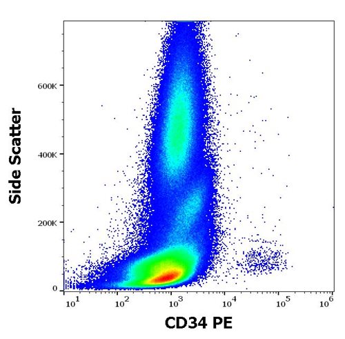 Anti-Hu CD34 PE