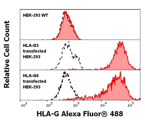 Anti-HLA-G Alexa Fluor<sup>®</sup> 488