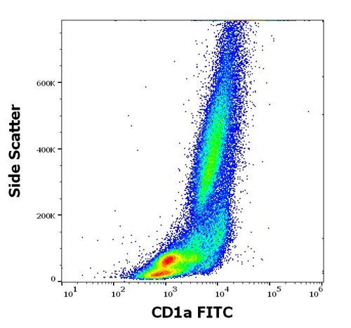 Anti-Hu CD1a FITC