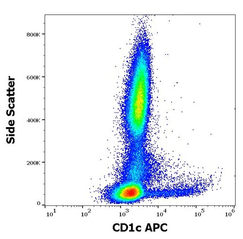 Anti-Hu CD1c APC