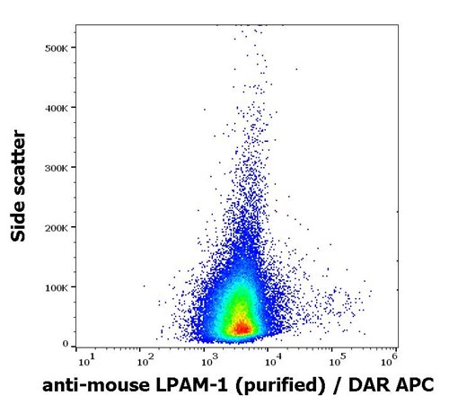 Anti-Ms LPAM-1 Purified