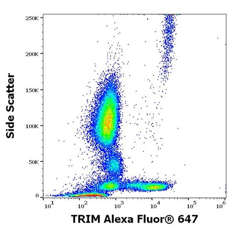 Anti-TRIM Alexa Fluor<sup>®</sup> 647
