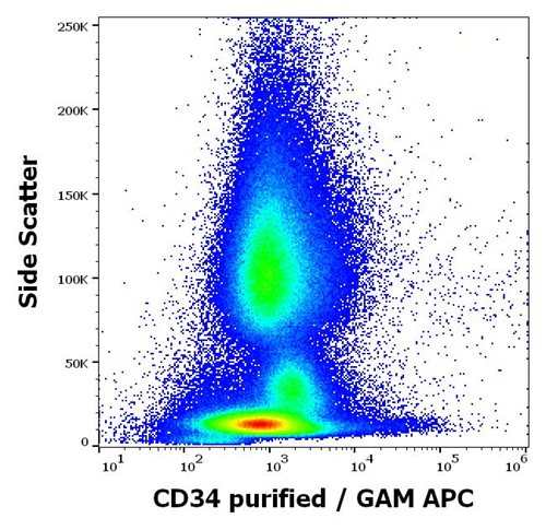 Anti-Hu CD34 Purified