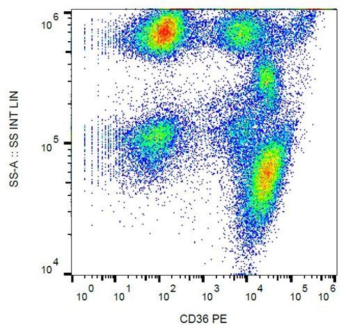 Anti-Hu CD36 PE