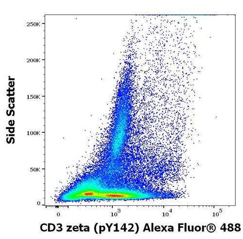 Anti-Hu CD3 zeta (pY142) Alexa Fluor<sup>®</sup> 488