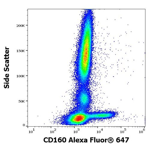 Anti-Hu CD160 Alexa Fluor<sup>®</sup> 647