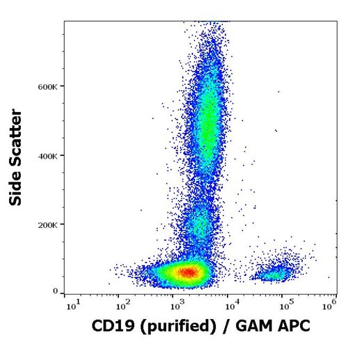 Anti-Hu CD19 Purified