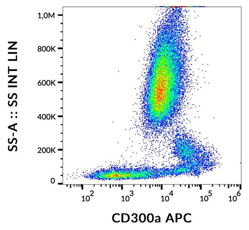 Anti-Hu CD300a APC