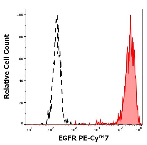 Anti-EGFR PE-Cy™7