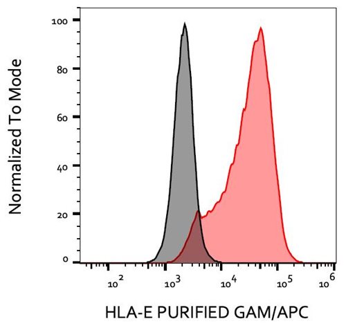 Anti-HLA-E Purified