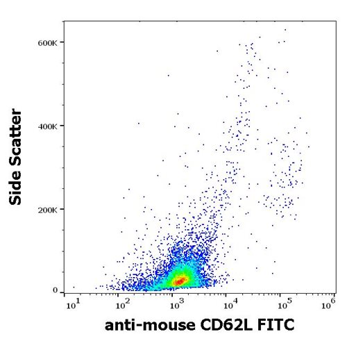 Anti-Ms CD62L FITC