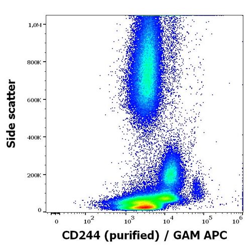 Anti-Hu CD244 Purified