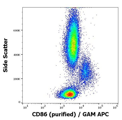 Anti-Hu CD86 Purified