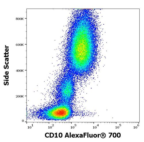 Anti-Hu CD10 Alexa Fluor<sup>®</sup> 700